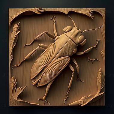 3D модель Oedemera croceicollis (STL)